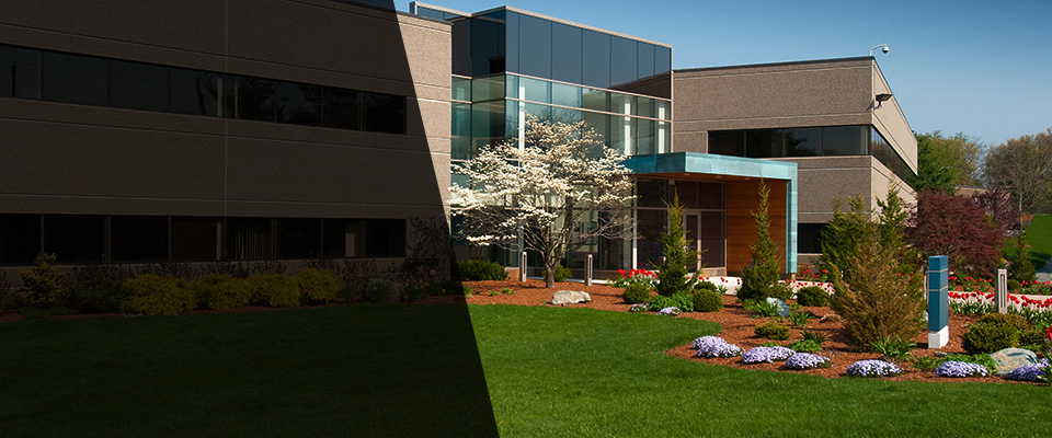 Belmont Landscapers